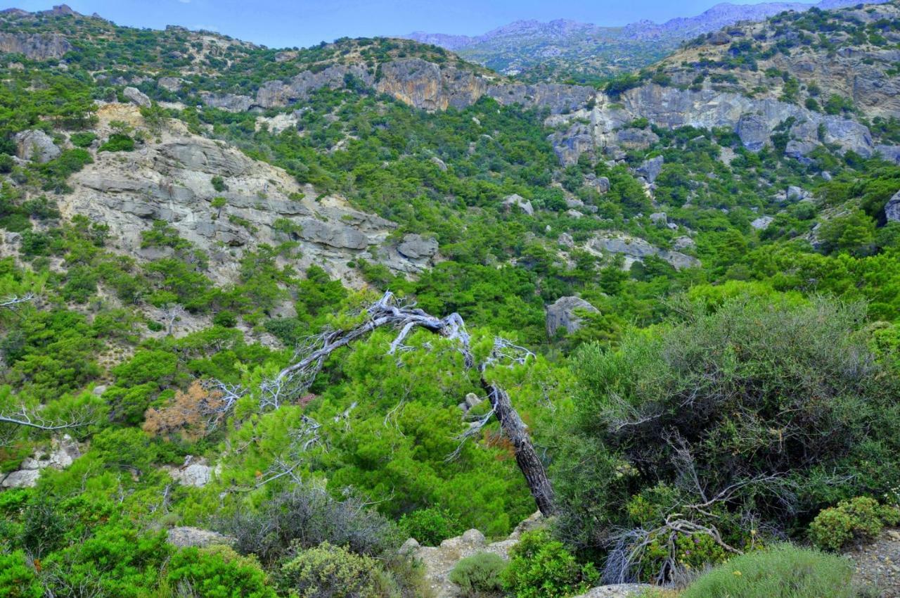 Dream Residence Agios Ioannis  Luaran gambar